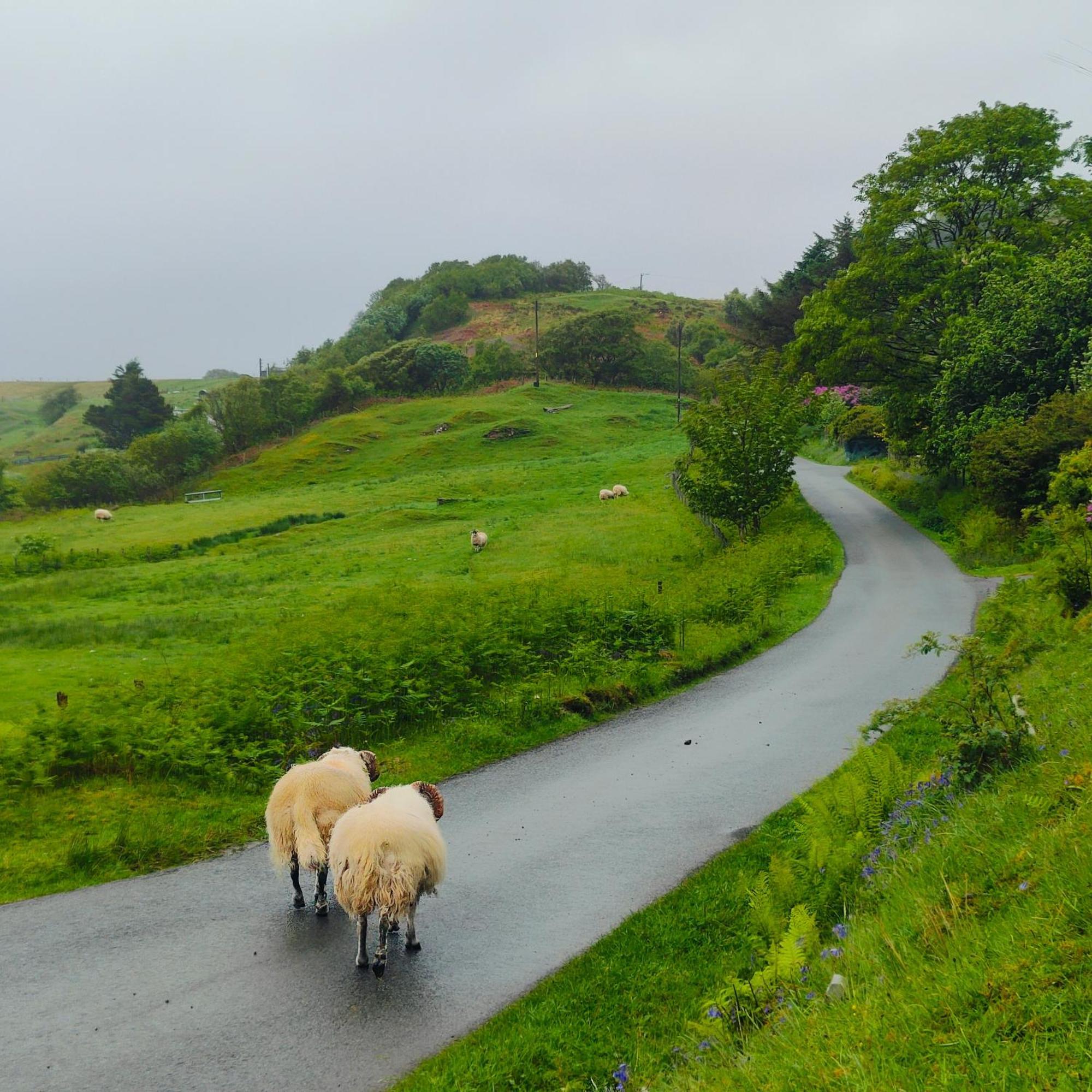 Kintyre Caravan Portree Kültér fotó